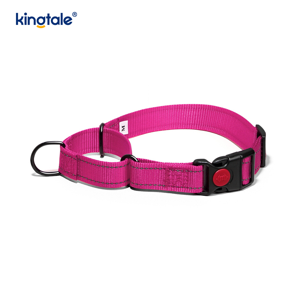 No Pull Reflective Novifacta Nylon Martingale Dog Collar For S M A L L Dogs