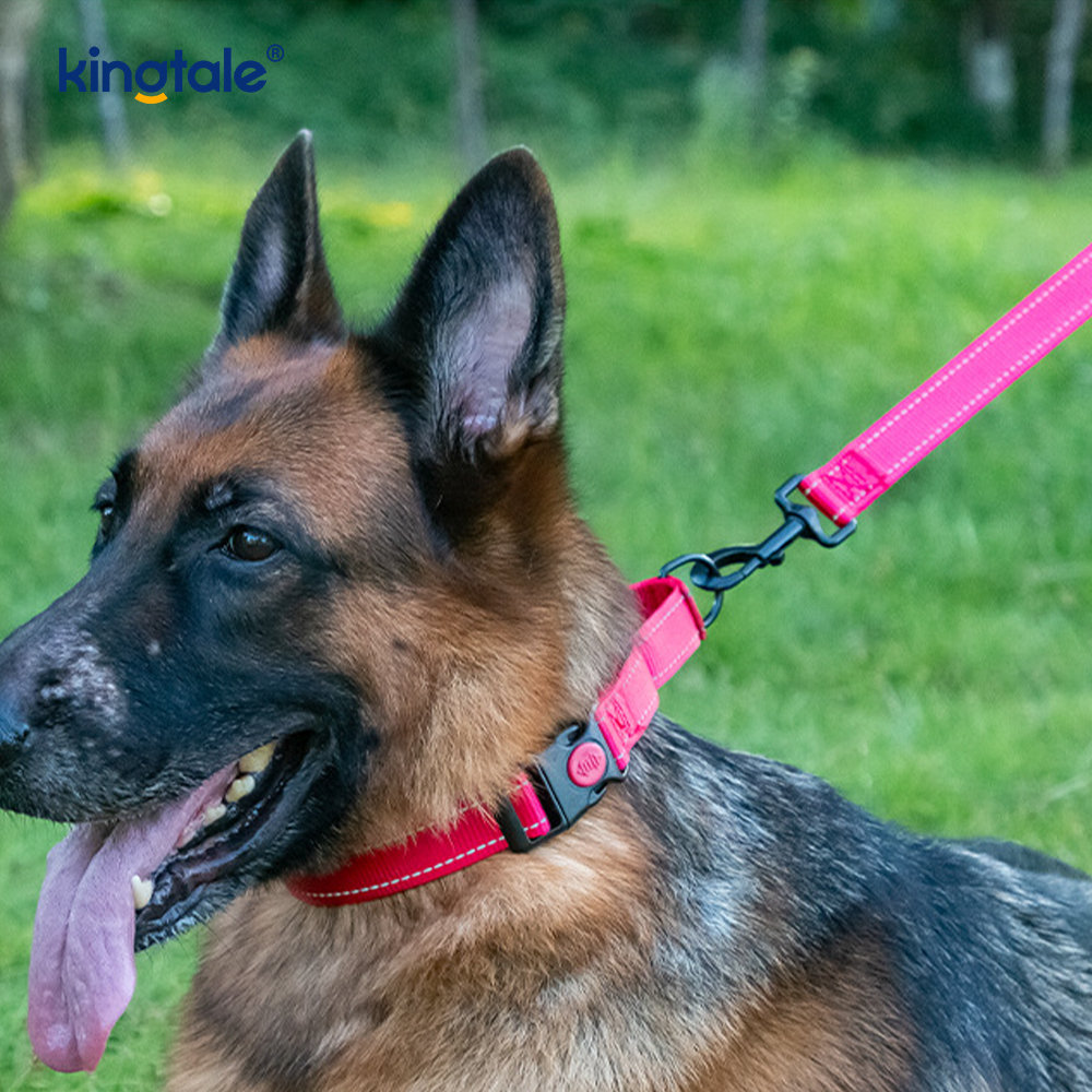 No Pull Reflective Novifacta Nylon Martingale Dog Collar For S M A L L Dogs