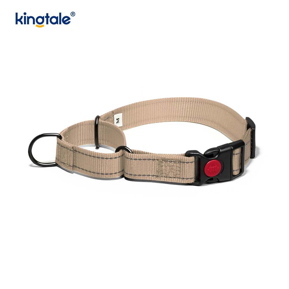 No Pull Reflective Novifacta Nylon Martingale Dog Collar For S M A L L Dogs