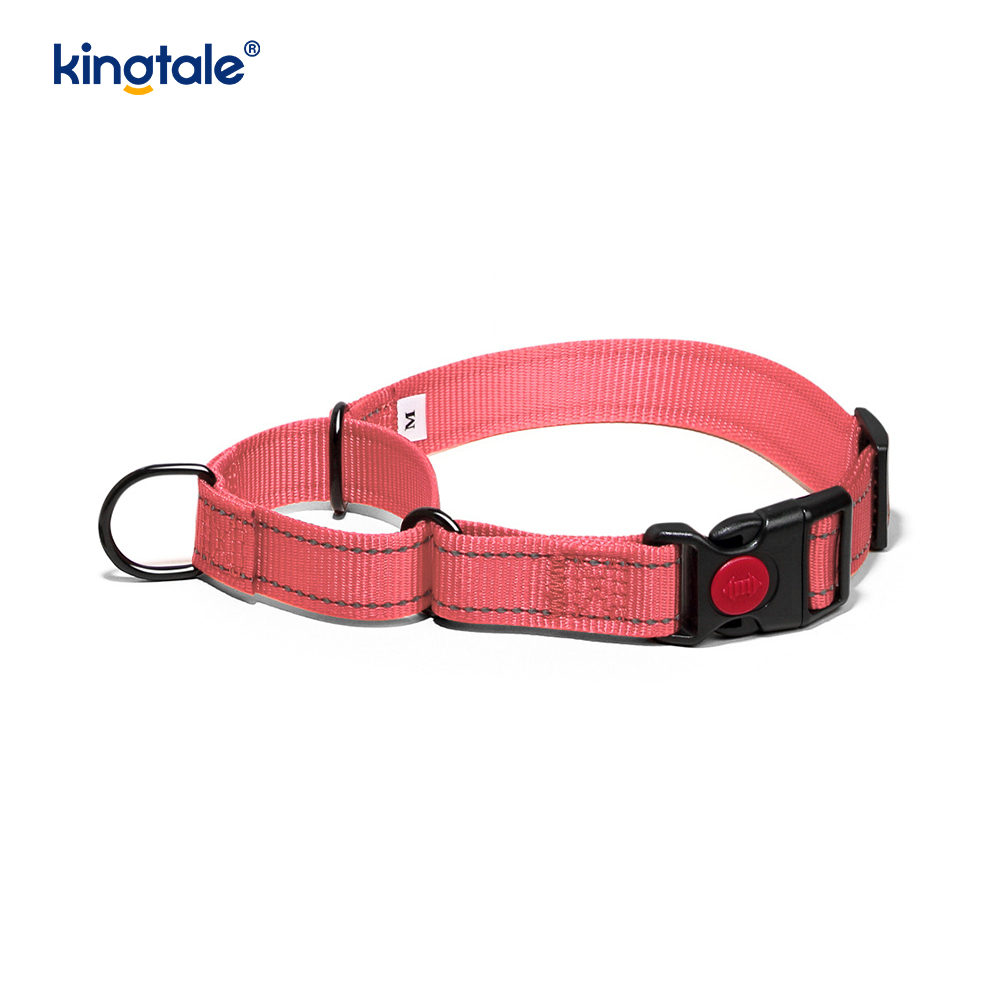 No Pull Reflective Novifacta Nylon Martingale Dog Collar For S M A L L Dogs