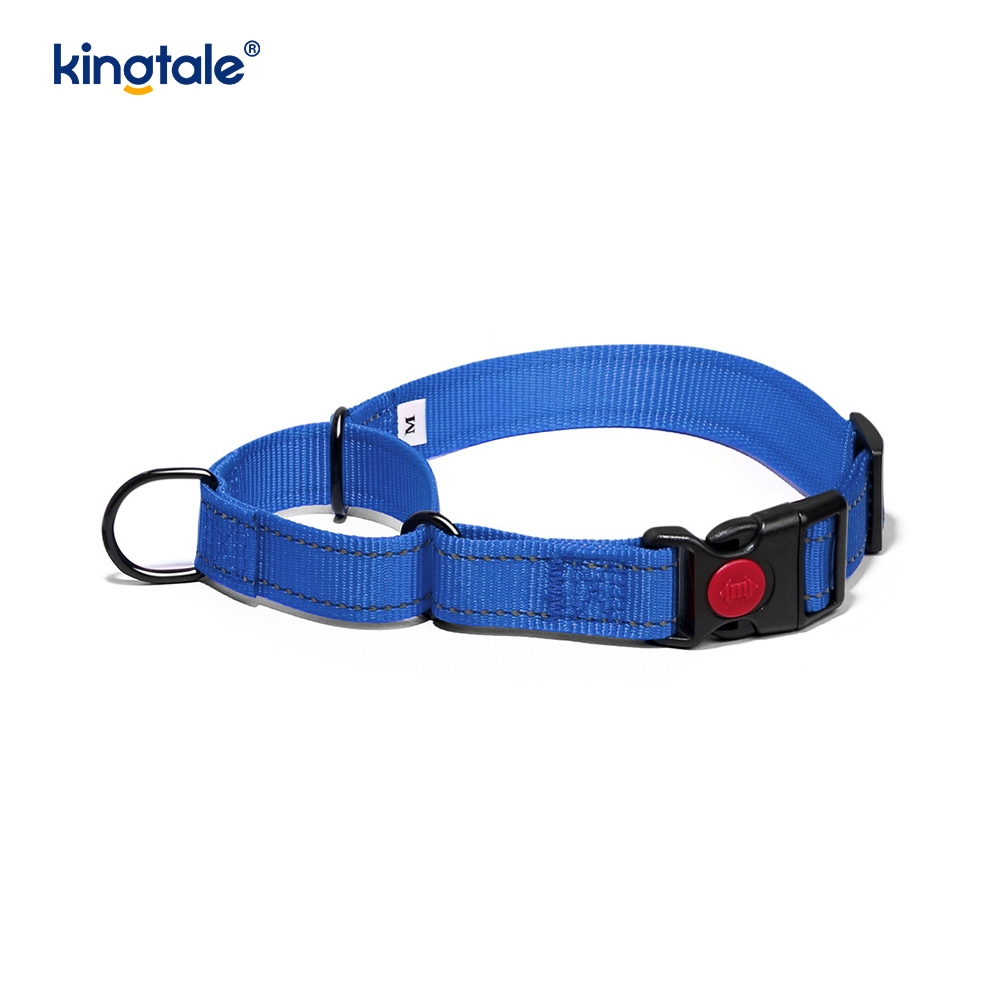 No Pull Reflective Novifacta Nylon Martingale Dog Collar For S M A L L Dogs
