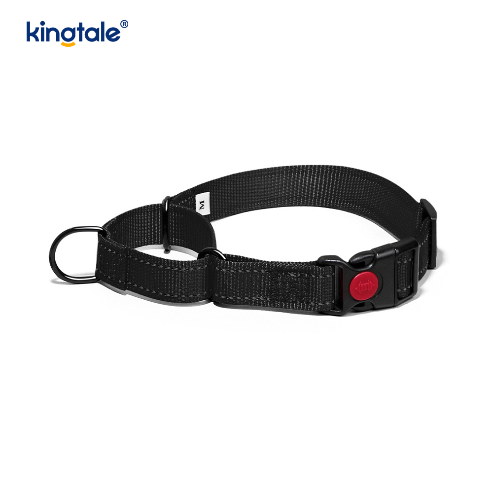 No Pull Reflective Novifacta Nylon Martingale Dog Collar For S M A L L Dogs