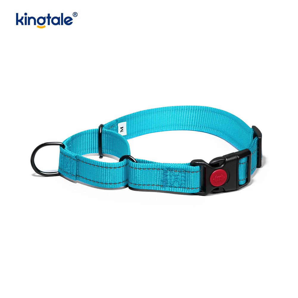 No Pull Reflective Novifacta Nylon Martingale Dog Collar For S M A L L Dogs