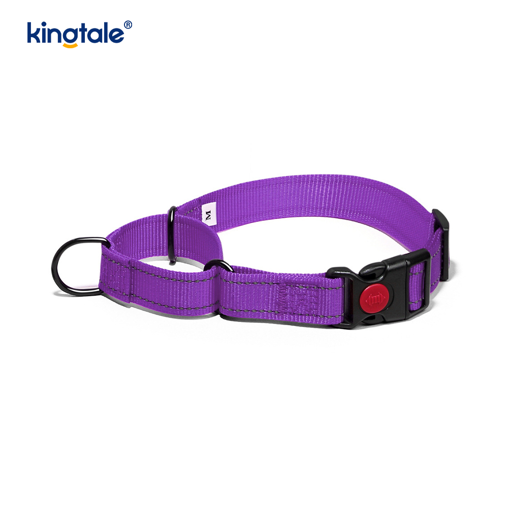 No Pull Reflective Novifacta Nylon Martingale Dog Collar For S M A L L Dogs