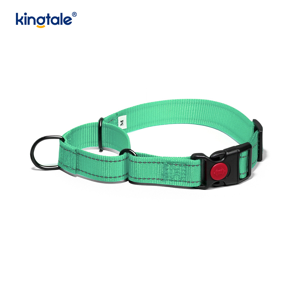 No Pull Reflective Novifacta Nylon Martingale Dog Collar For S M A L L Dogs