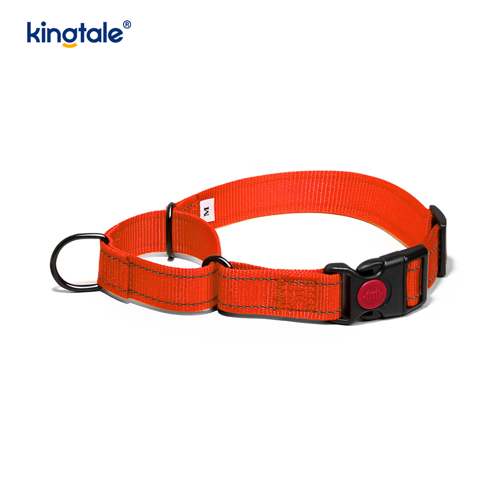 No Pull Reflective Novifacta Nylon Martingale Dog Collar For S M A L L Dogs