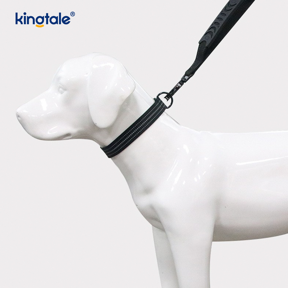 Reflective No excute Gravis Officium Tactical Canis Collarem Leash Bungee Lead