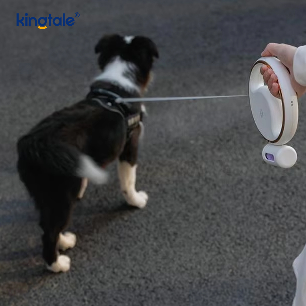Simplex Modern Led Lighting Automatic Retractable Nylon Dog Collar Leash