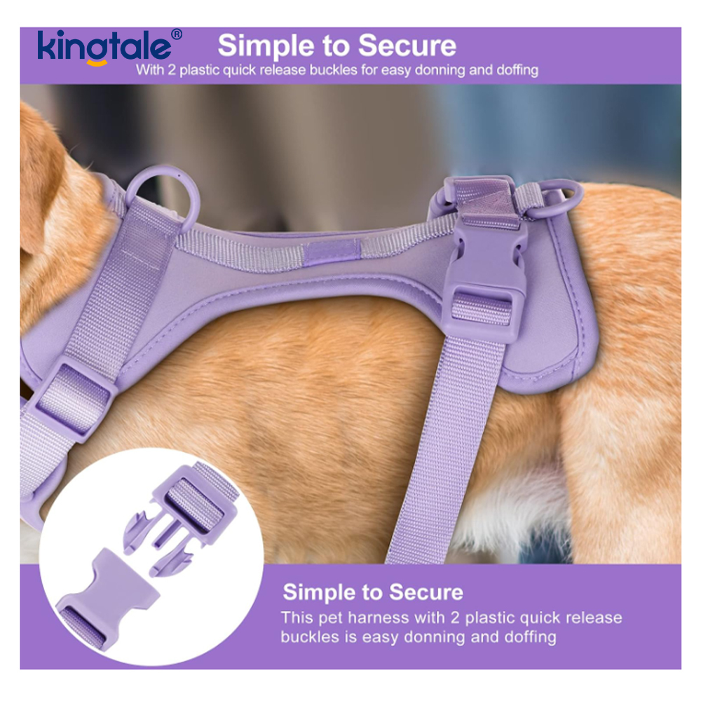 Custom Pet Adjustable Pvc No Pull lightweight Dog lunge Leash Collar