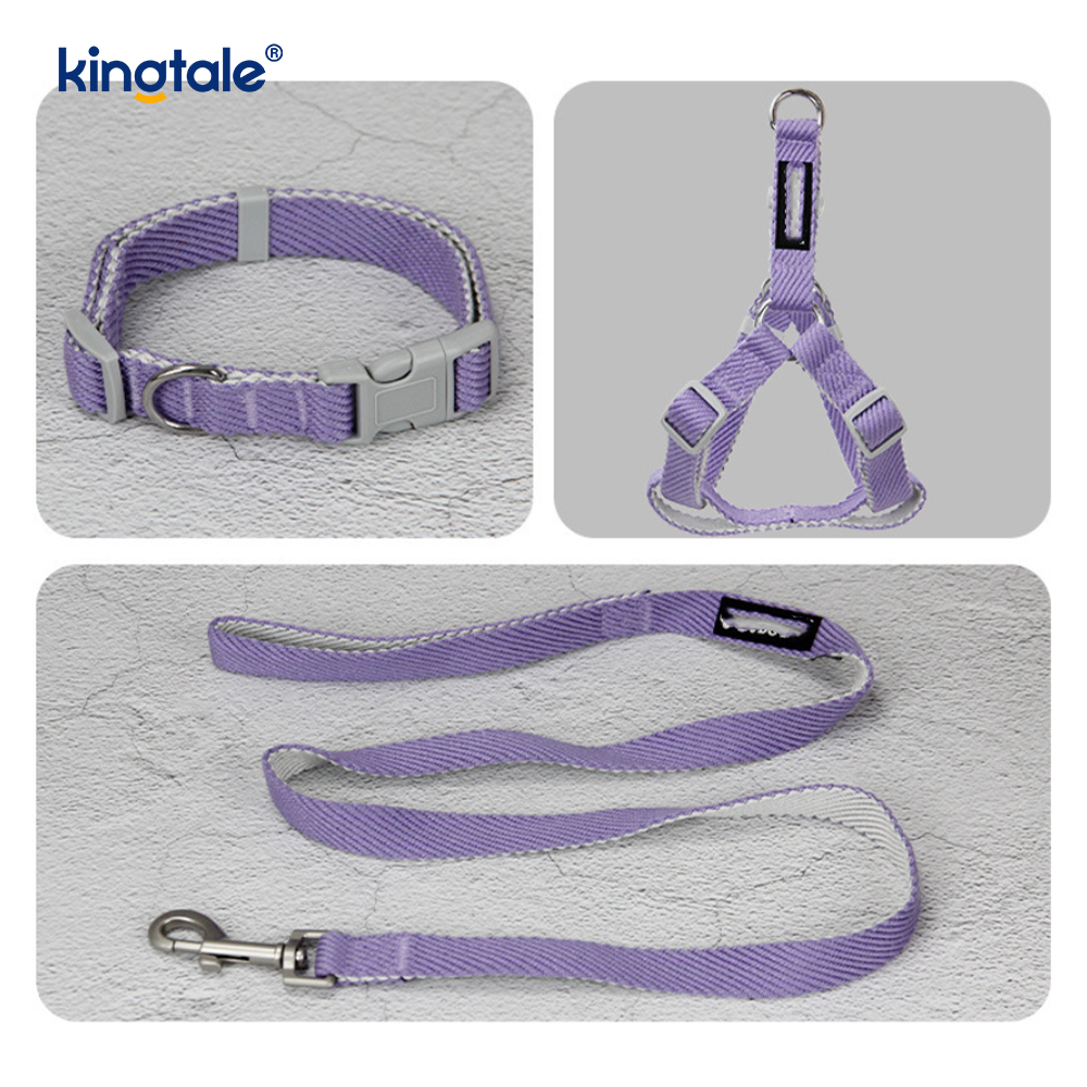 Privatum Altera / ODM Print Modus canis iungite Collarem Leash Set