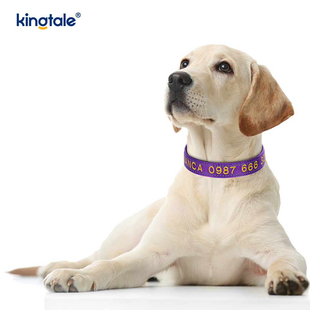 Service Dog Collar Coded Fibula Design For Ne Accidentia Monet