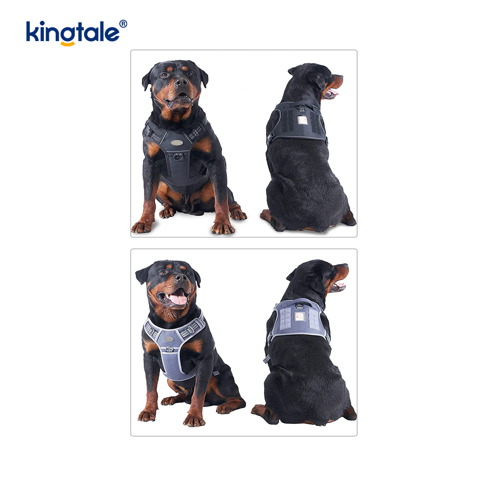 Solidum non excute Nylon Gravis Officium Dog Cingulum Veste Training Harnesses Chest