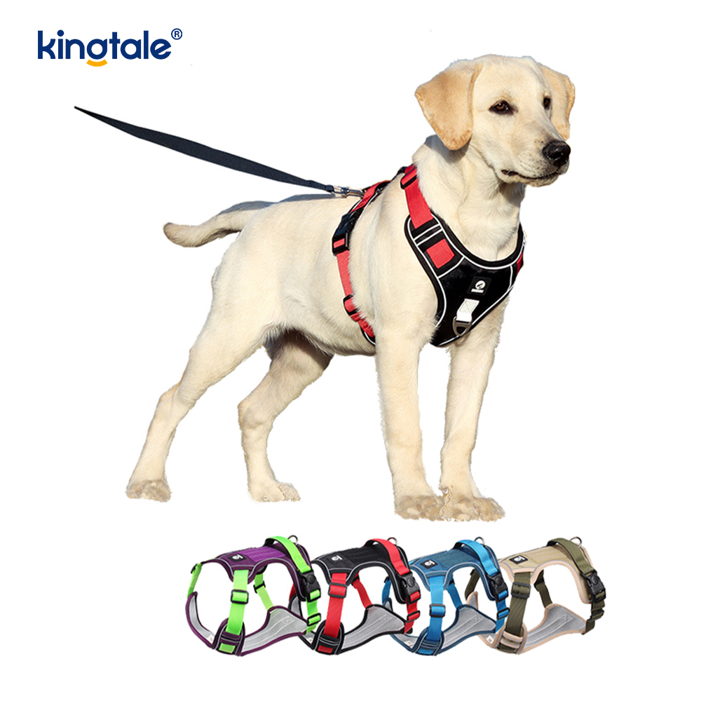 Nylon Rivet Reflective Novifacta Breathable Lusum Dog Pet lunge