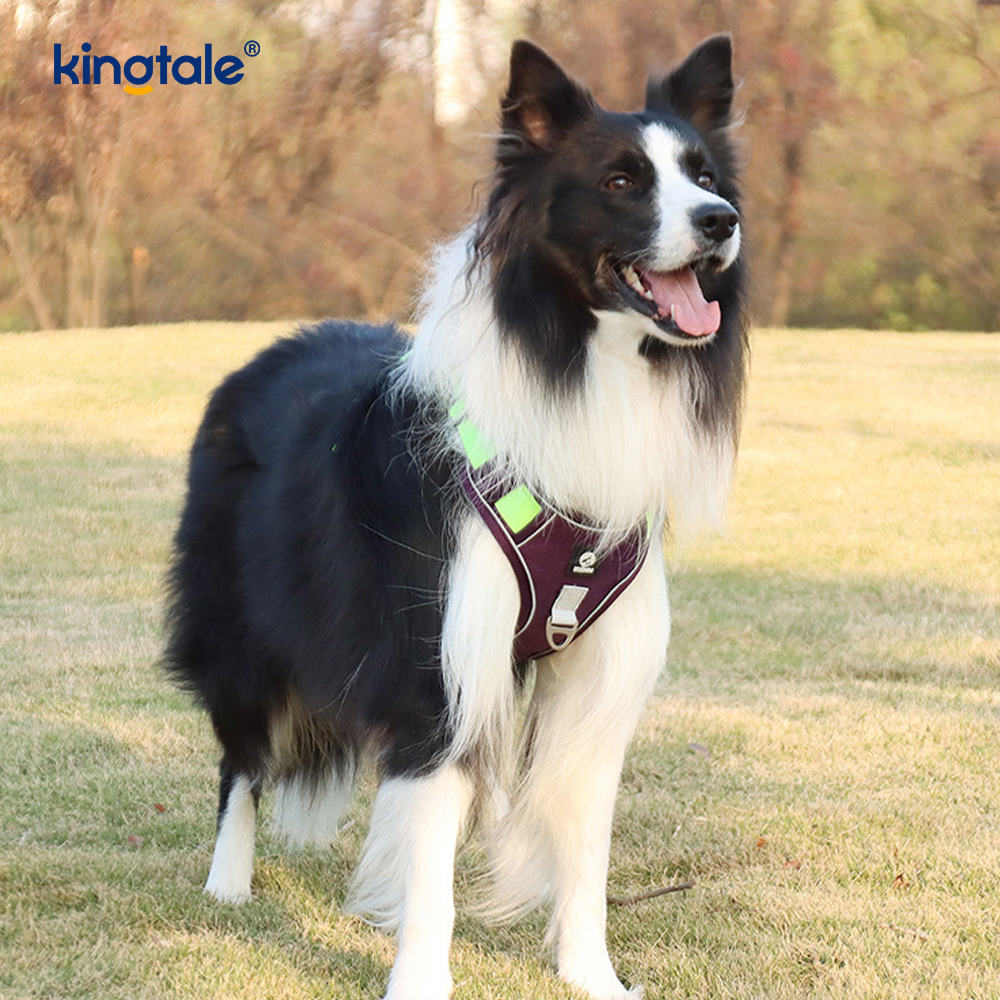 Nylon Rivet Reflective Novifacta Breathable Lusum Dog Pet lunge
