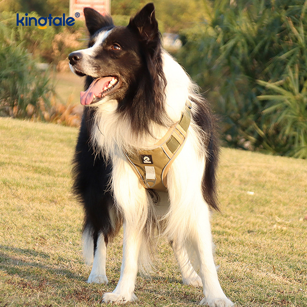 Nylon Rivet Reflective Novifacta Breathable Lusum Dog Pet lunge