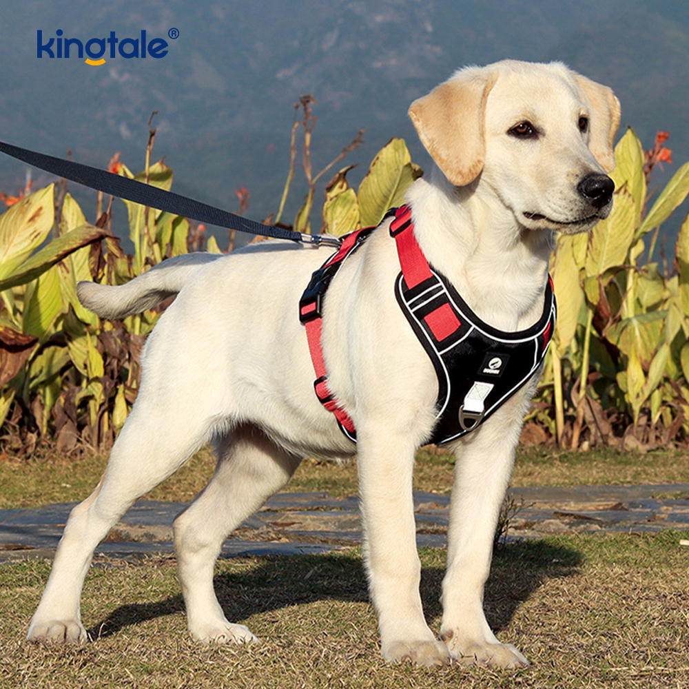Nylon Rivet Reflective Novifacta Breathable Lusum Dog Pet lunge