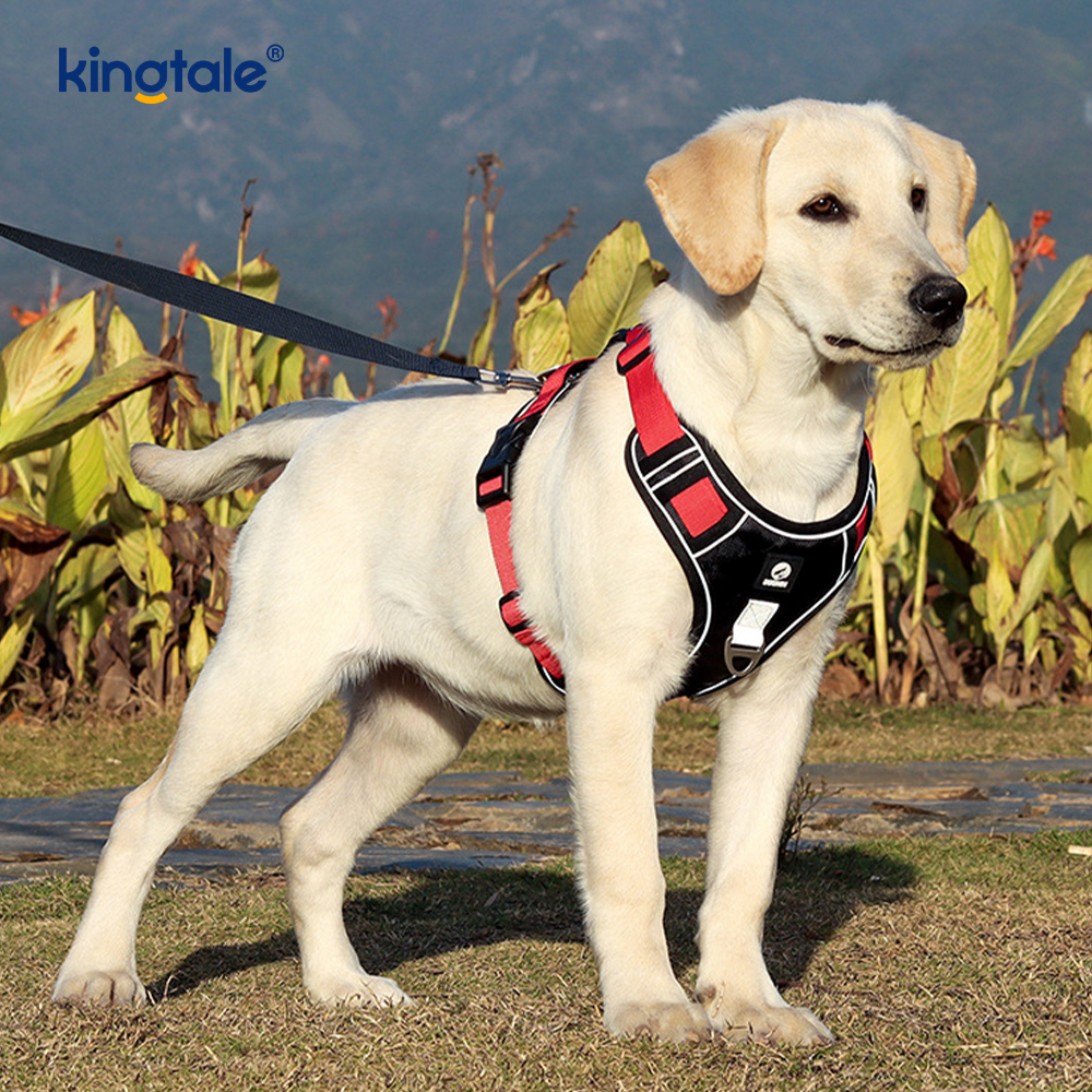 Nylon Rivet Reflective Novifacta Breathable Lusum Dog Pet lunge