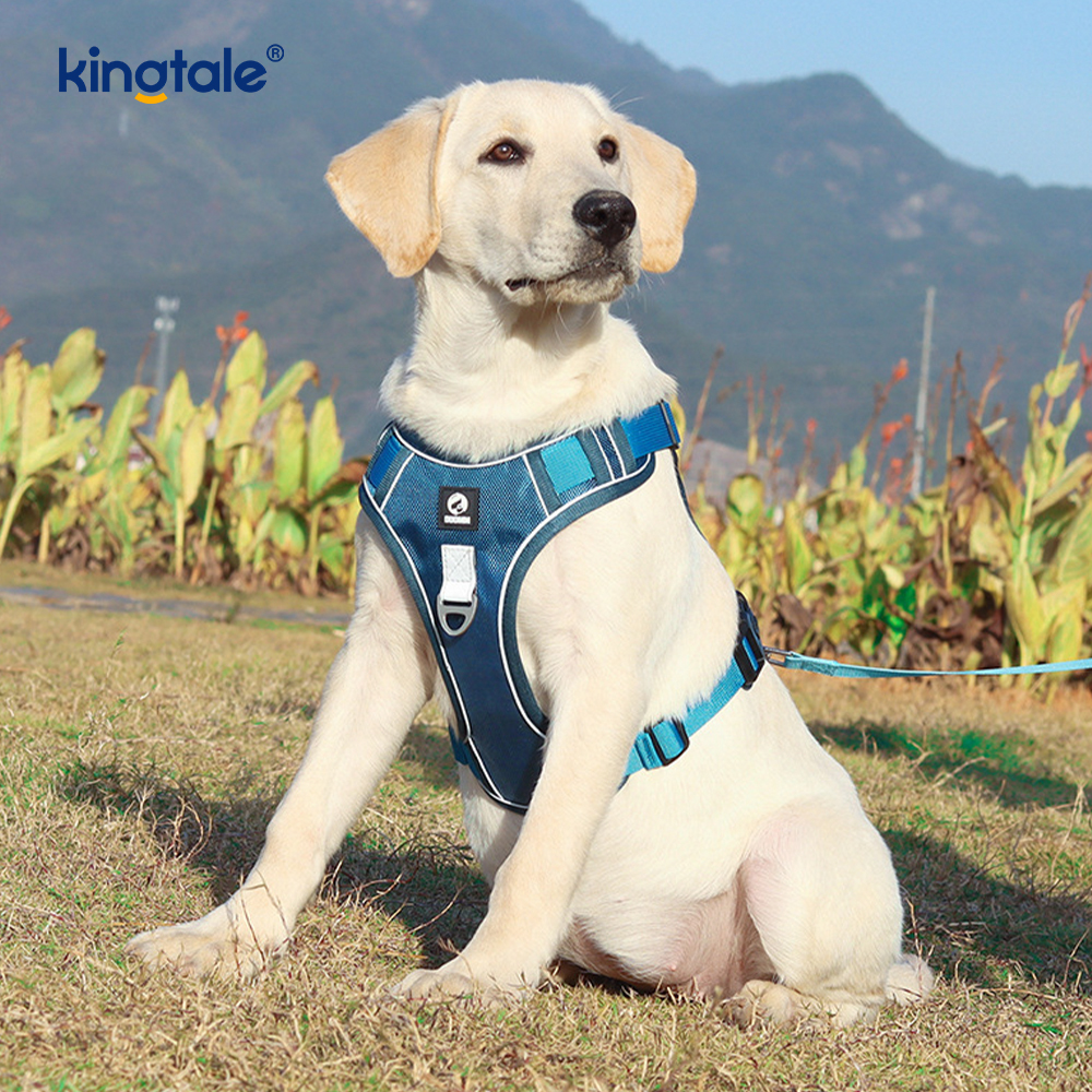 Nylon Rivet Reflective Novifacta Breathable Lusum Dog Pet lunge