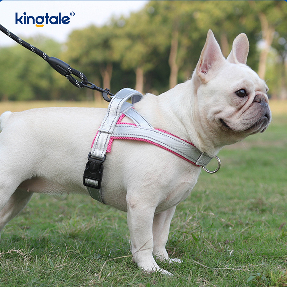 Custom Wholesale Adjustable Nylon Reflective Pet Dog Harness Minime Set