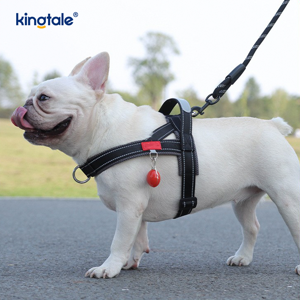 Custom Wholesale Adjustable Nylon Reflective Pet Dog Harness Minime Set