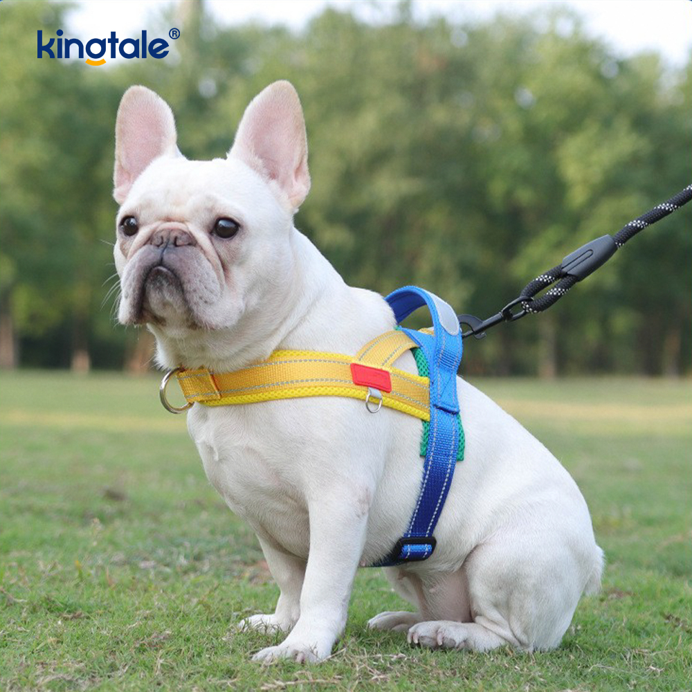 Custom Wholesale Adjustable Nylon Reflective Pet Dog Harness Minime Set