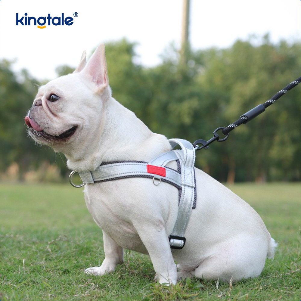 Custom Wholesale Adjustable Nylon Reflective Pet Dog Harness Minime Set
