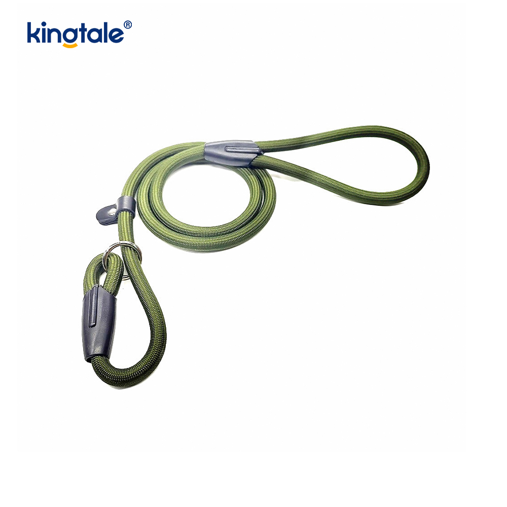 Lapsum Leash Leash fortis Nylon Funem Leash Dog Training plumbum enim Suspendisse