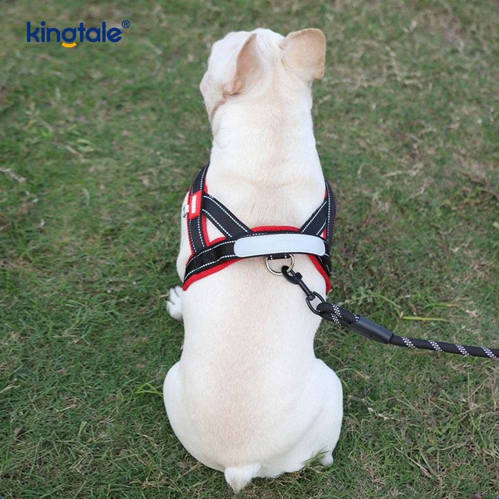 Custom Wholesale Adjustable Nylon Reflective Pet Dog Harness Minime Set