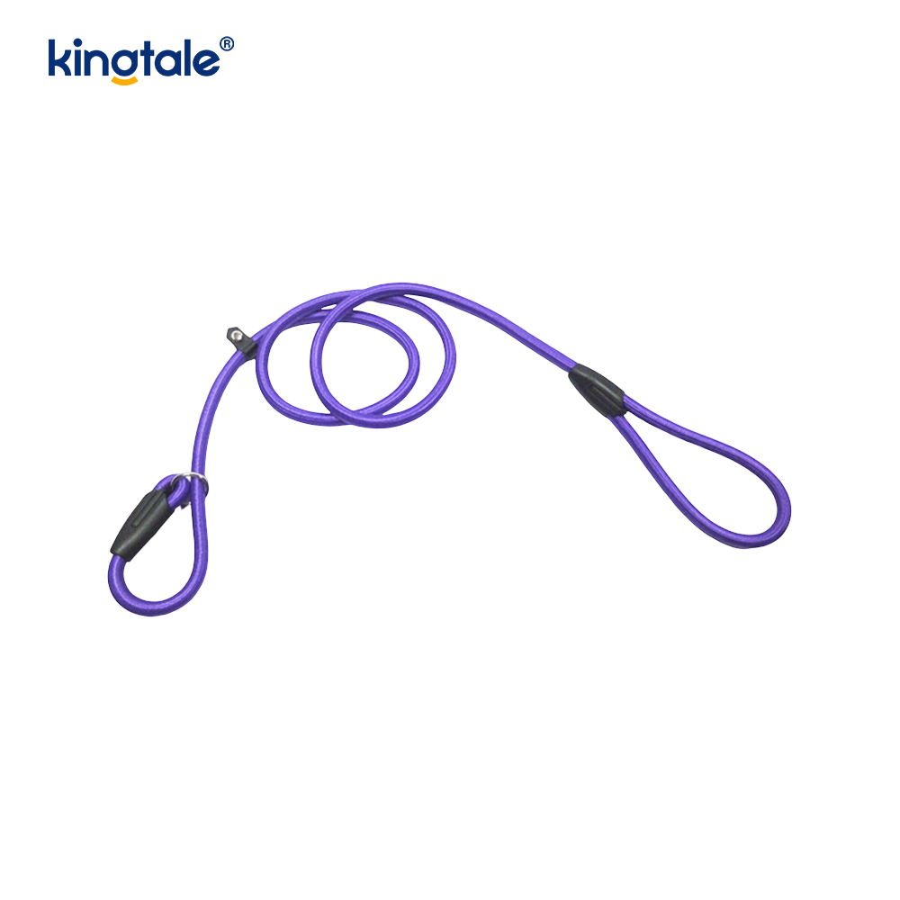 Lapsum Leash Leash fortis Nylon Funem Leash Dog Training plumbum enim Suspendisse