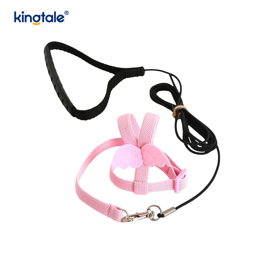 Lorem Novifacta Volans Funem Peony Parrot iungite et Leash Set