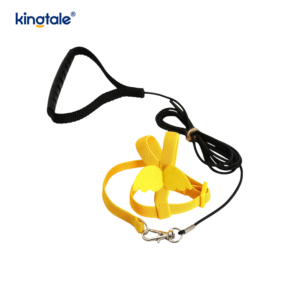 Lorem Novifacta Volans Funem Peony Parrot iungite et Leash Set