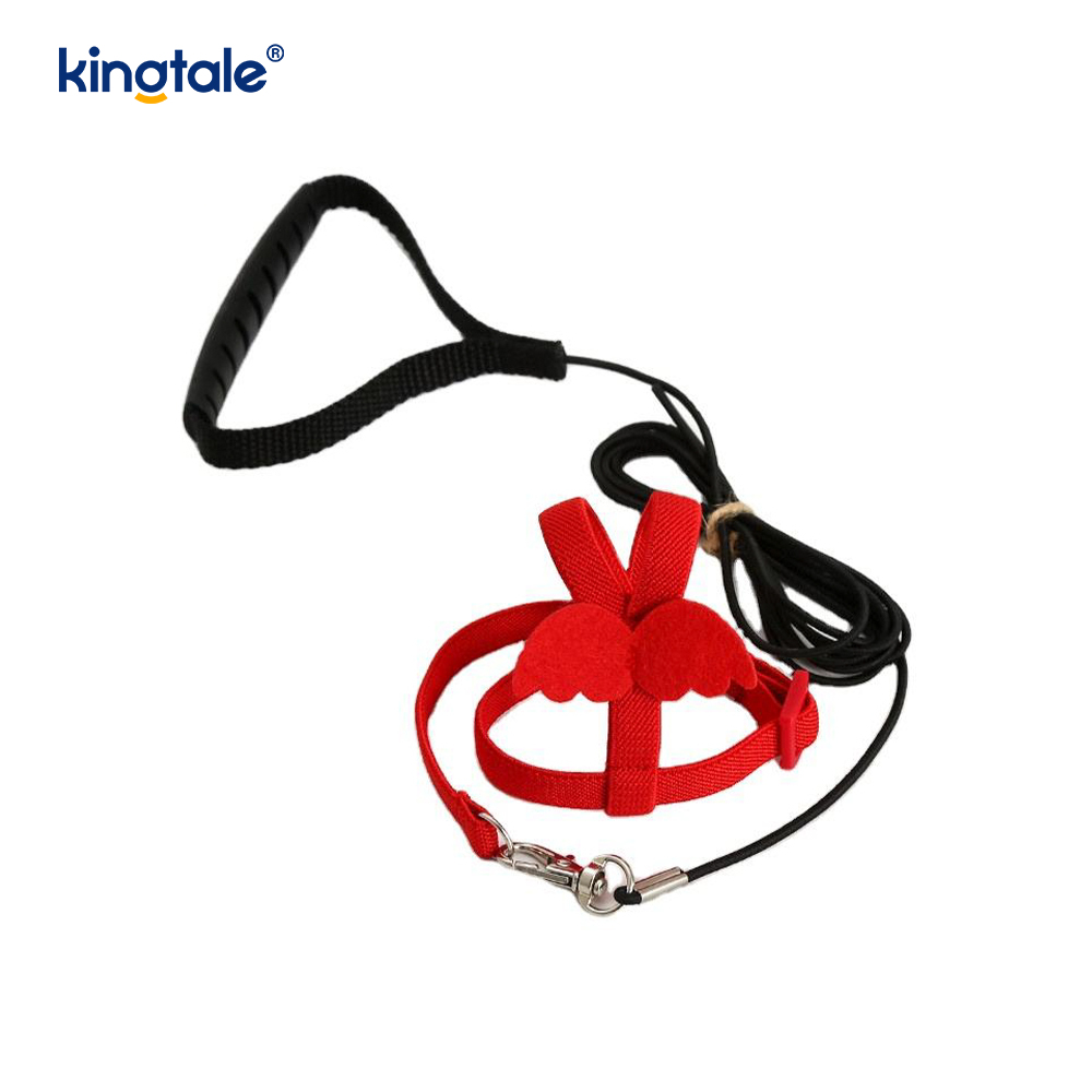 Lorem Novifacta Volans Funem Peony Parrot iungite et Leash Set