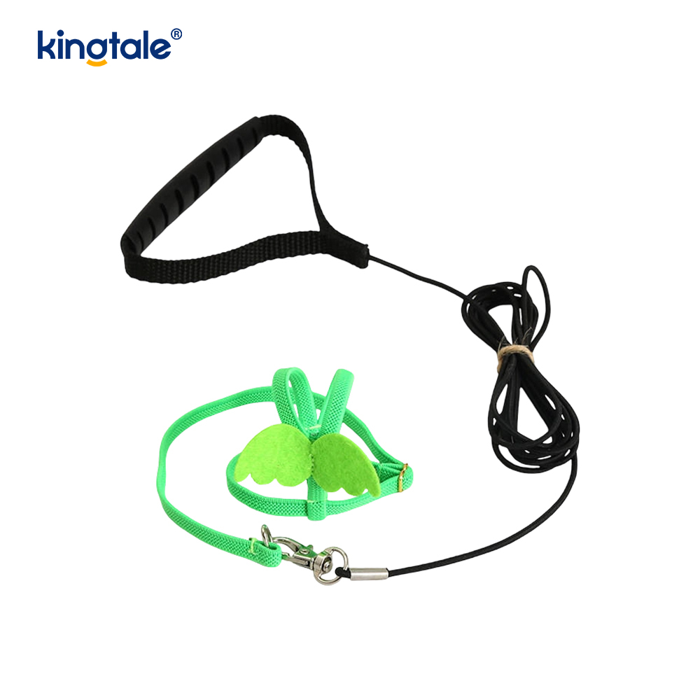 Lorem Novifacta Volans Funem Peony Parrot iungite et Leash Set
