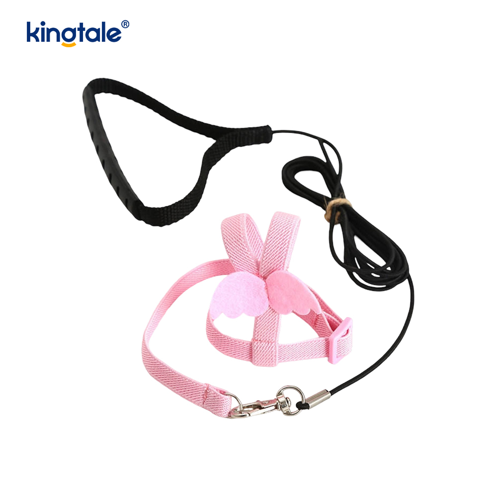 Lorem Novifacta Volans Funem Peony Parrot iungite et Leash Set