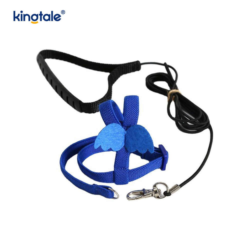 Lorem Novifacta Volans Funem Peony Parrot iungite et Leash Set