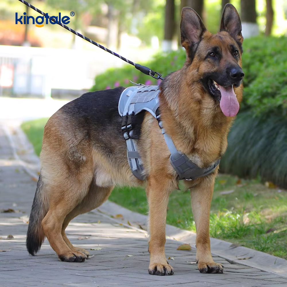 Nativus Gravis Officium Large Vest Mesh Breathable Novifacta Dog Iunge