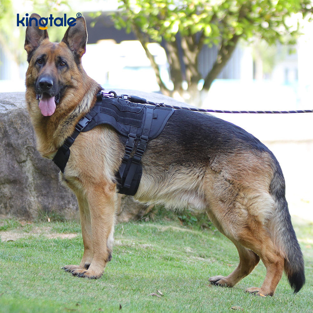 Nativus Gravis Officium Large Vest Mesh Breathable Novifacta Dog Iunge