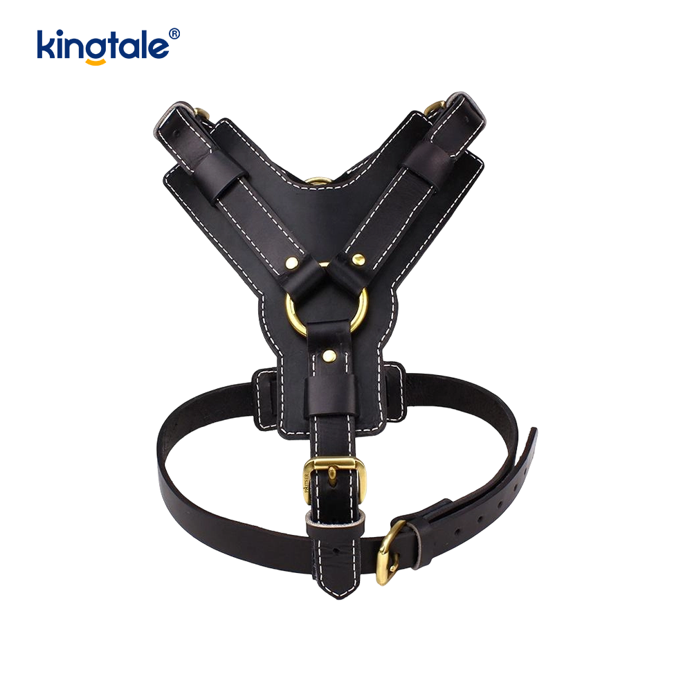 Leather Black Cowhide dilatatio et Crasso canis Leather iungite