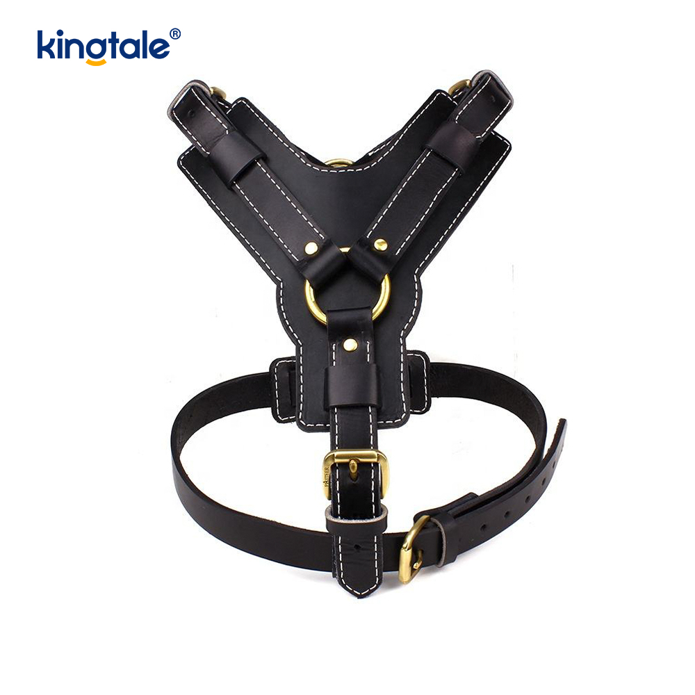 Leather Black Cowhide dilatatio et Crasso canis Leather iungite