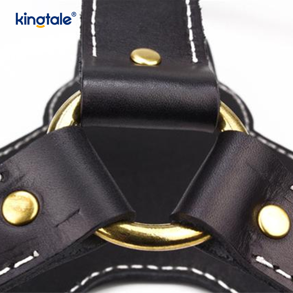Leather Black Cowhide dilatatio et Crasso canis Leather iungite