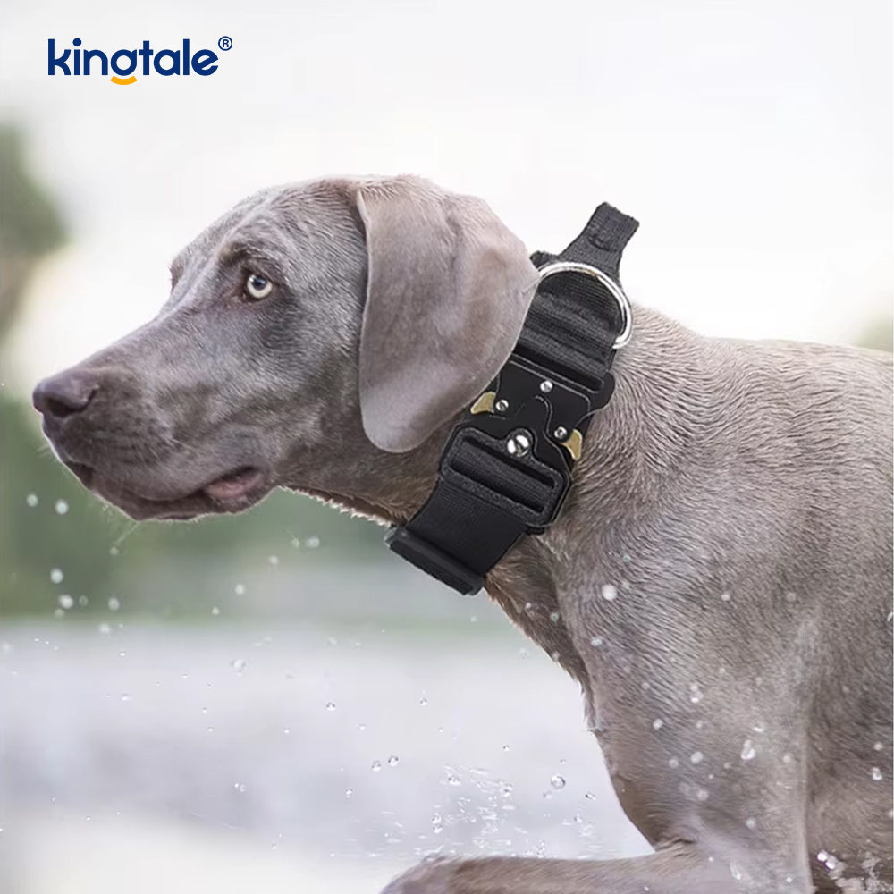 Gravis officium Tactical Canis Collarem Leash iungite pro magnis canibus