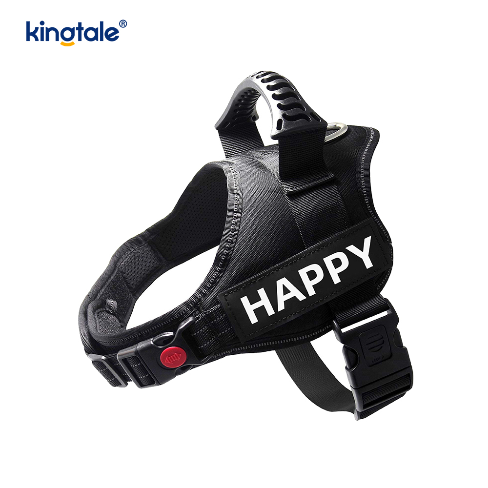 Non excute Reflective Intentio Canem Iunge Solidum Nylon Funem Dog Leash