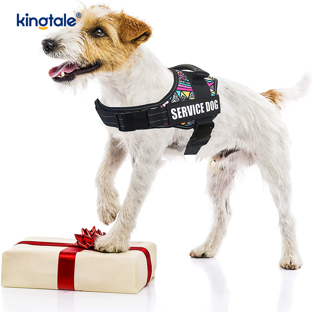 Non excute Reflective Intentio Canem Iunge Solidum Nylon Funem Dog Leash