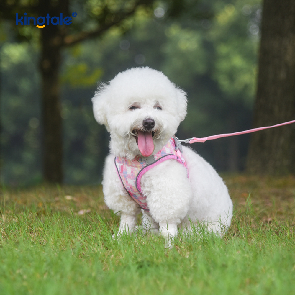 Vestis-Style Fashion Padded Pet lunge Dog Reflective Anti-Concursores Leash