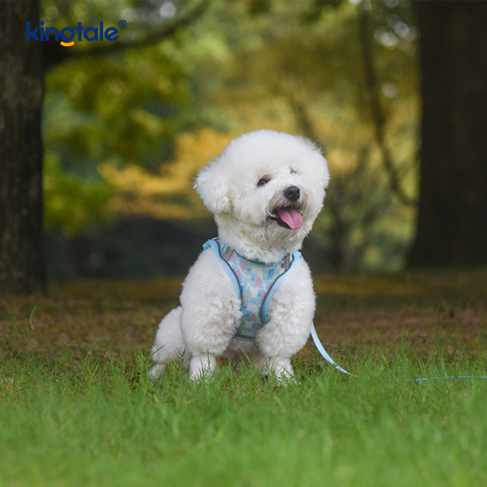 Vestis-Style Fashion Padded Pet lunge Dog Reflective Anti-Concursores Leash