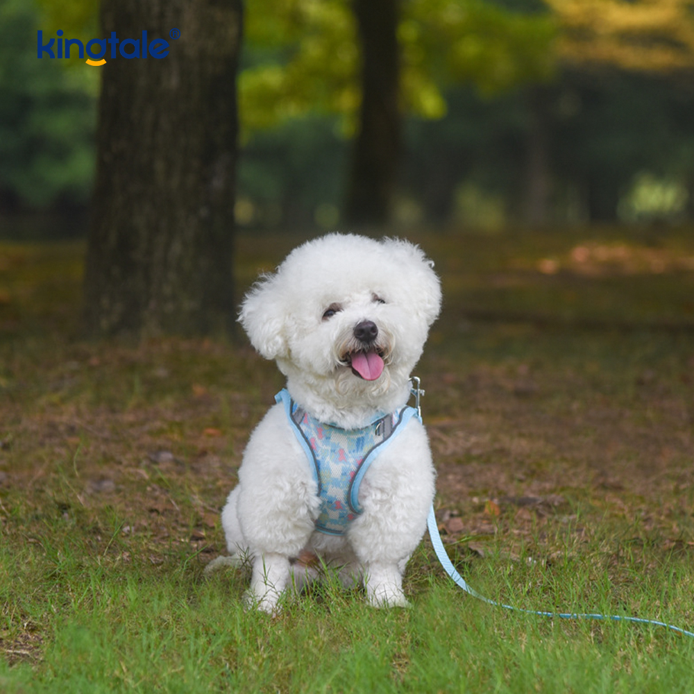 Vestis-Style Fashion Padded Pet lunge Dog Reflective Anti-Concursores Leash