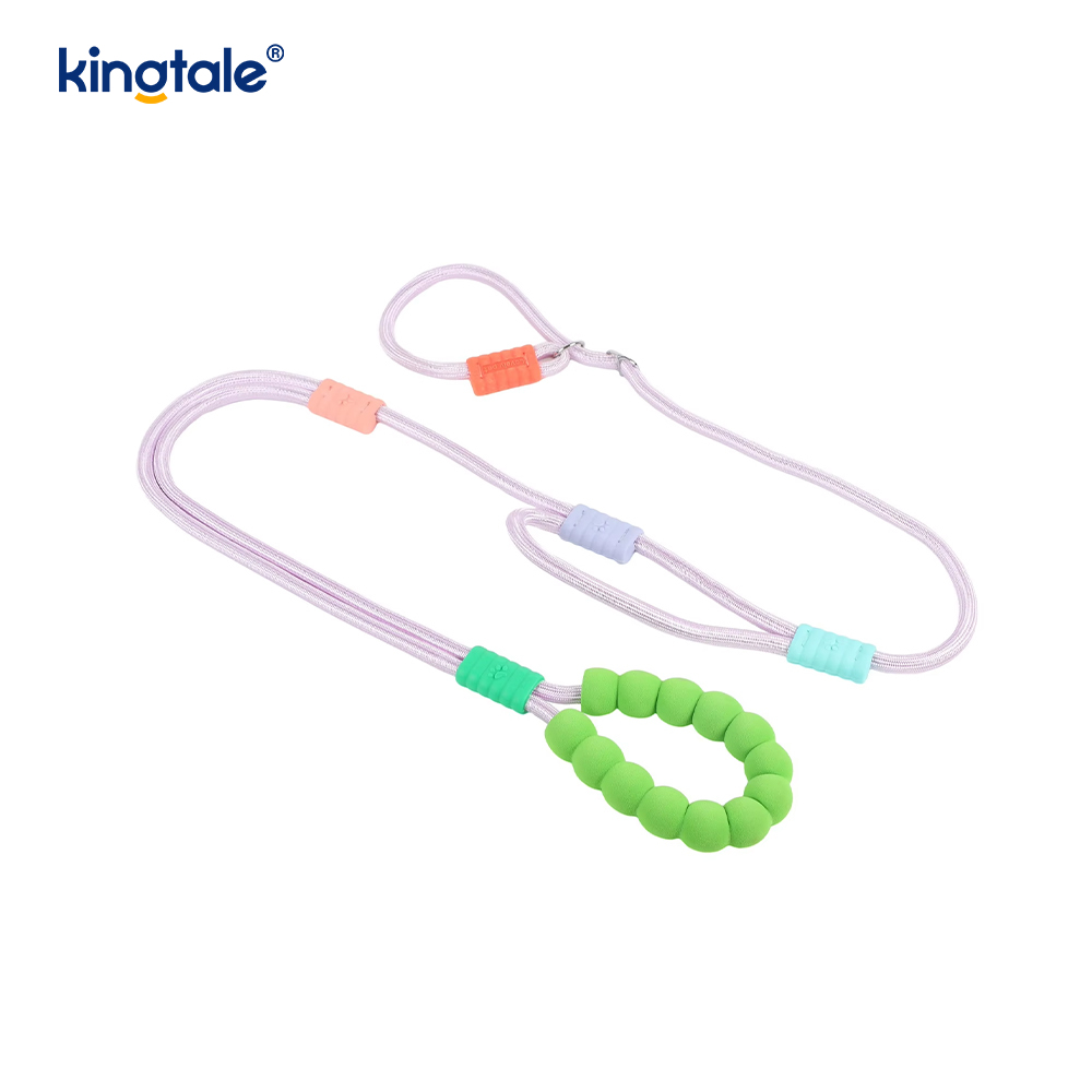 Non excute Dura Novifacta Nylon Duplex manubrium LAETUS canis labi Leash