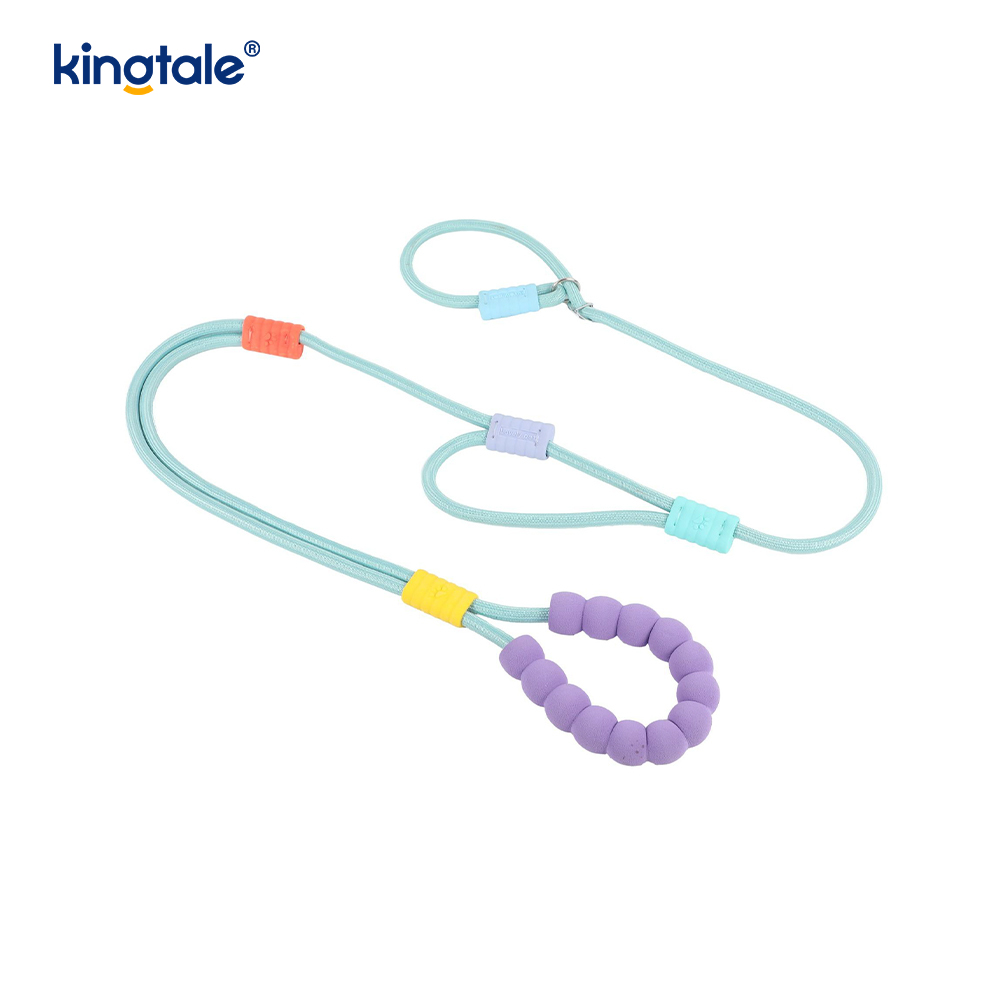 Non excute Dura Novifacta Nylon Duplex manubrium LAETUS canis labi Leash