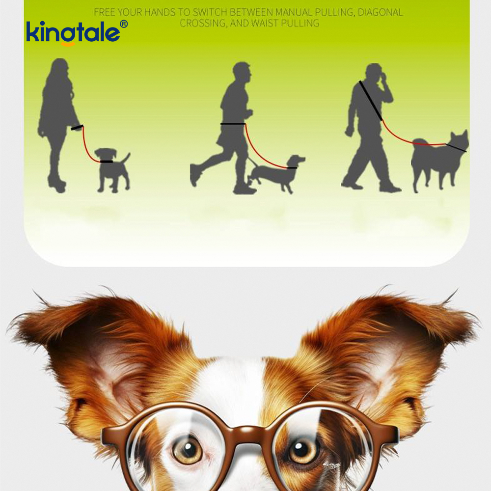 Non excute Dura Novifacta Nylon Duplex manubrium LAETUS canis labi Leash
