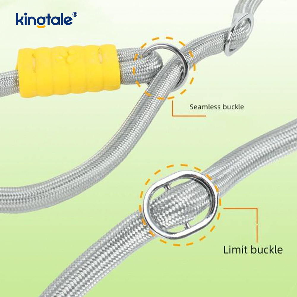 Non excute Dura Novifacta Nylon Duplex manubrium LAETUS canis labi Leash
